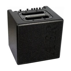 AER Alpha 40-watt 1x8-inch Acoustic Instrument Combo Amplifier