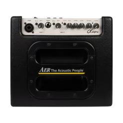 AER Alpha 40-watt 1x8-inch Acoustic Instrument Combo Amplifier