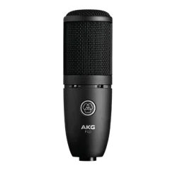AKG P120 Large Diaphragm Condenser Microphone
