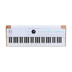 Arturia AstroLab 61-key Stage Keyboard