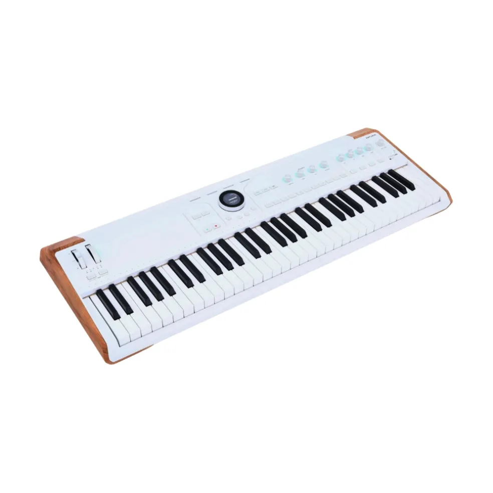 Arturia AstroLab 61-key Stage Keyboard