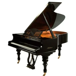 Blüthner - Model S6 - Ebony Polish