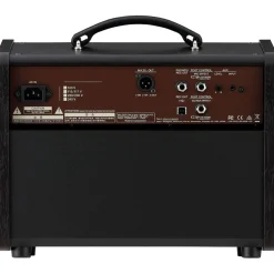 Boss - Acoustic Singer Live LT