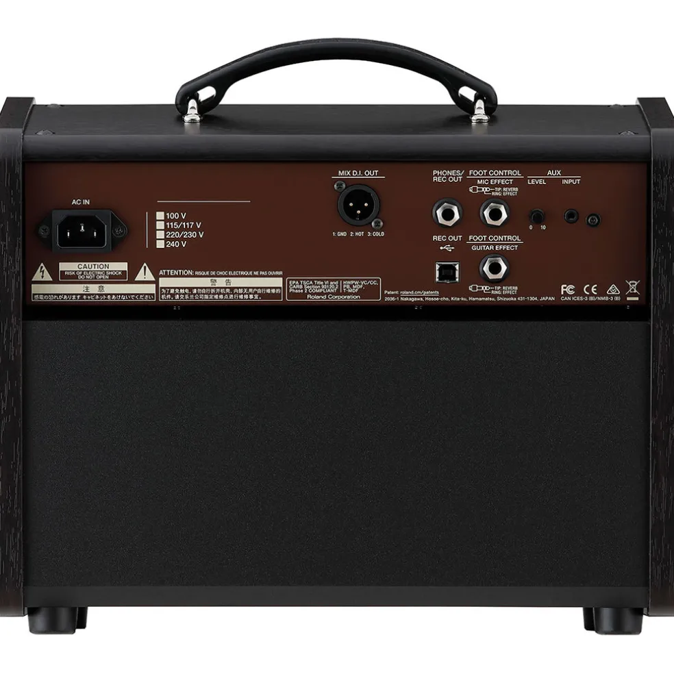 Boss - Acoustic Singer Live LT