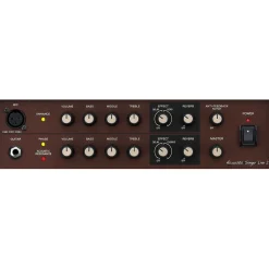 Boss - Acoustic Singer Live LT