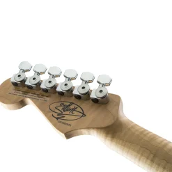 Charvel Guthrie Govan - Cooked Ash