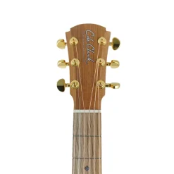 Cole Clark AN2E LH - Bunya Top, Maple B&S