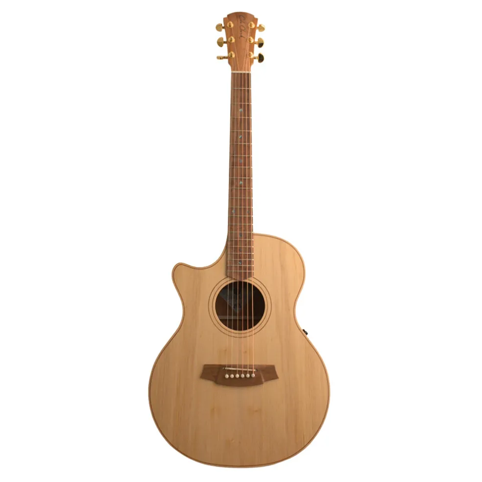 Cole Clark AN2EC LH - Bunya Top, Maple Back and Sides