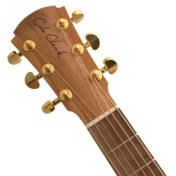 Cole Clark AN2EC LH - Bunya Top, Maple Back and Sides