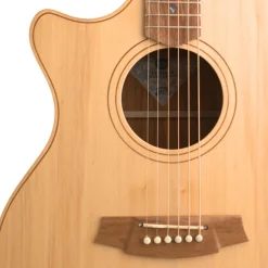 Cole Clark AN2EC LH - Bunya Top, Maple Back and Sides