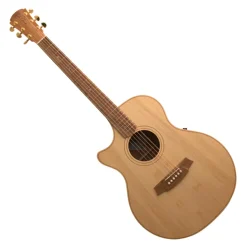 Cole Clark AN2EC LH - Bunya Top, Maple Back and Sides