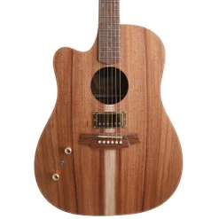 Cole Clark FL2EC All Blackwood HB Left Handed Acoustic/Electric Guitar