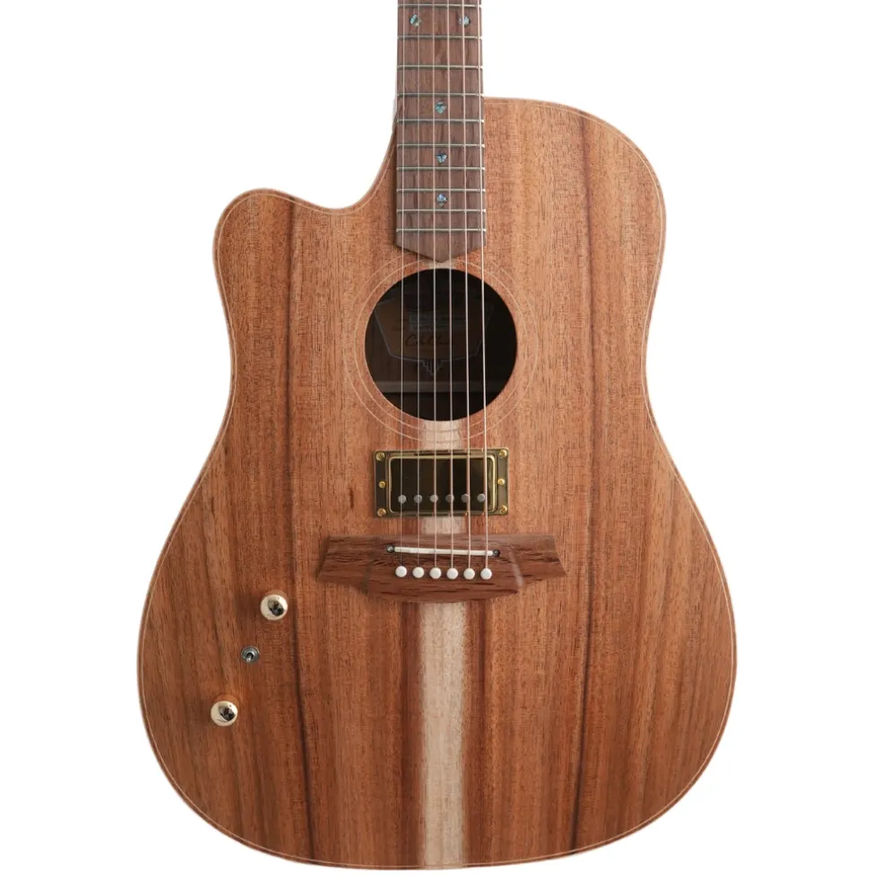 Cole Clark FL2EC All Blackwood HB Left Handed Acoustic/Electric Guitar