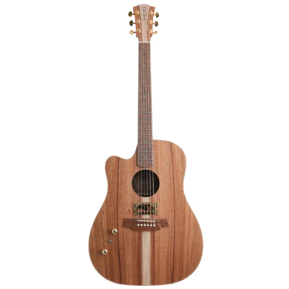 Cole Clark FL2EC All Blackwood HB Left Handed Acoustic/Electric Guitar