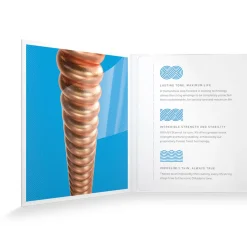 D'Addario XS Phosphor Bronze Acoustic Guitar Strings - 12-53