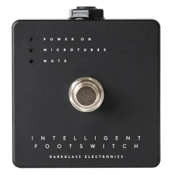 Darkglass Microtubes 900 watt Bass Head