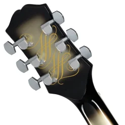 Epiphone Adam Jones Les Pau Ernst Fuchs Anti Laokoon 1965