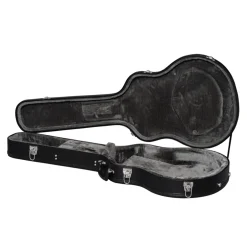 Epiphone Dave Grohl DG335 In Hard Case Pelham Blue