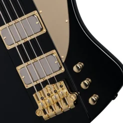 Epiphone Rex Brown Thunderbird Bass in Ebony