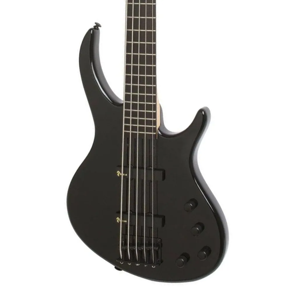 Epiphone Toby Deluxe-V Bass-Ebony Gloss 5 String