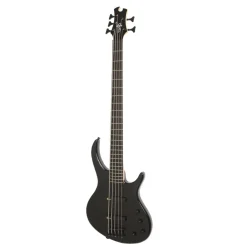 Epiphone Toby Deluxe-V Bass-Ebony Gloss 5 String