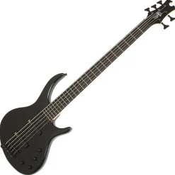 Epiphone Toby Deluxe-V Bass-Ebony Gloss 5 String
