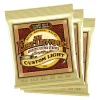 Ernie Ball Earthwood Custom Light 8020 Brnz Ac Gtr Strings 3 Pk 11.5 54