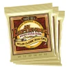 Ernie Ball Earthwood Folk Nylon, Clear and Gold w/Ball End, 8020 Brnz Ac Gtr Strings 3 Pk 28 42