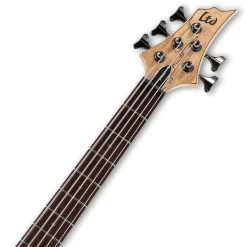 ESP LTD B-205 Spalted Maple 5-String Bass - Natural Satin