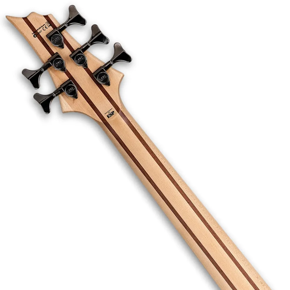ESP LTD B-205 Spalted Maple 5-String Bass - Natural Satin