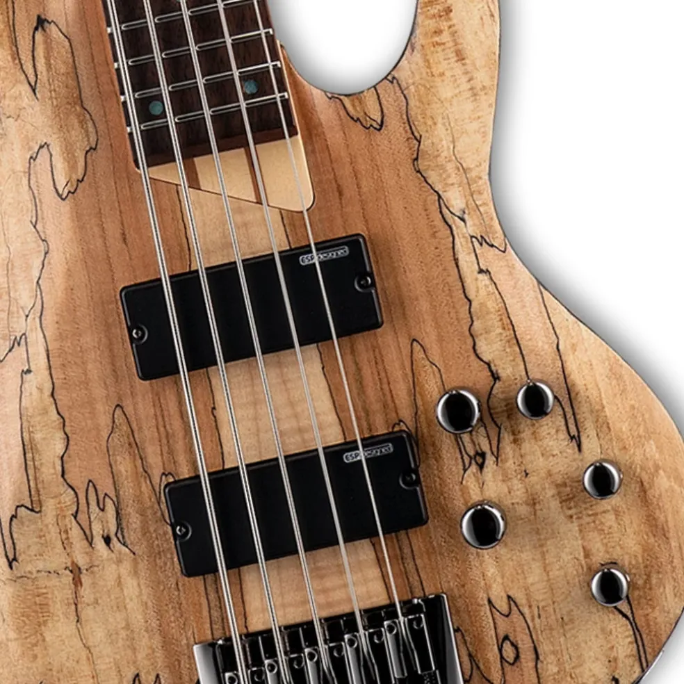 ESP LTD B-205 Spalted Maple 5-String Bass - Natural Satin