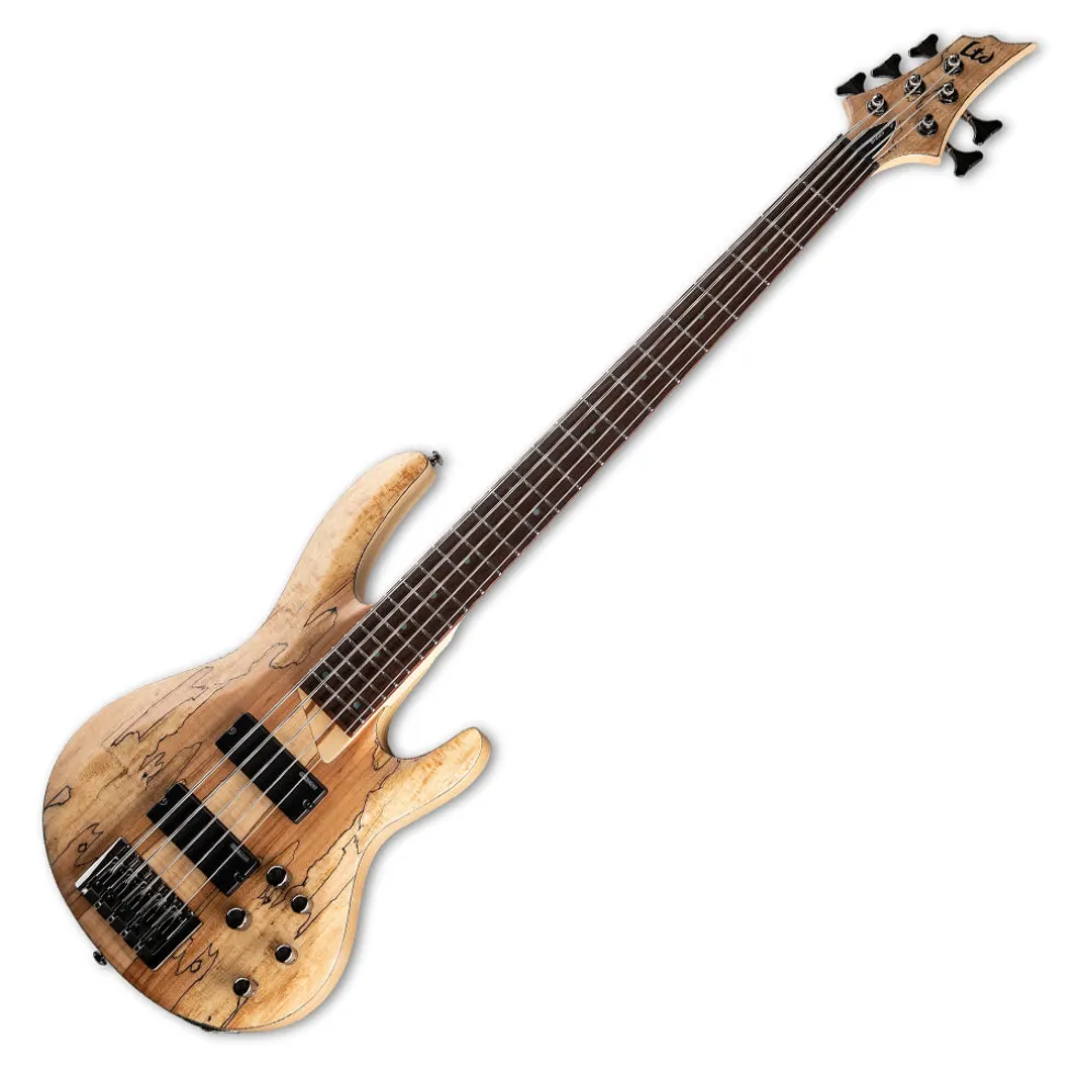 ESP LTD B-205 Spalted Maple 5-String Bass - Natural Satin