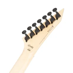 ESP LTD Brian "Head" Welch SH-207 FM 7-String Electric Guitar - See Thru Purple