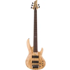 ESP LTD B-205SM 5-String Fretless Bass Guitar - Natural Satin