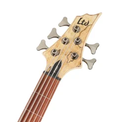 ESP LTD B-205SM 5-String Fretless Bass Guitar - Natural Satin