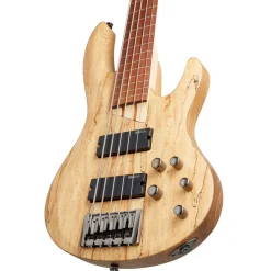 ESP LTD B-205SM 5-String Fretless Bass Guitar - Natural Satin