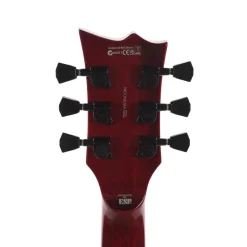 ESP LTD EC-201 Electric Guitar - See Thru Black Cherry