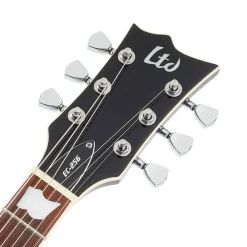 ESP LTD EC-256FM Electric Guitar - See Thru Purple Burst