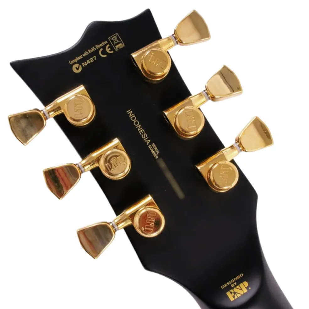 ESP LTD EC-1000VBSD Eclipse Electric Guitar - Vintage Black