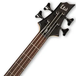 ESP LTD F204 Bass in Black Satin
