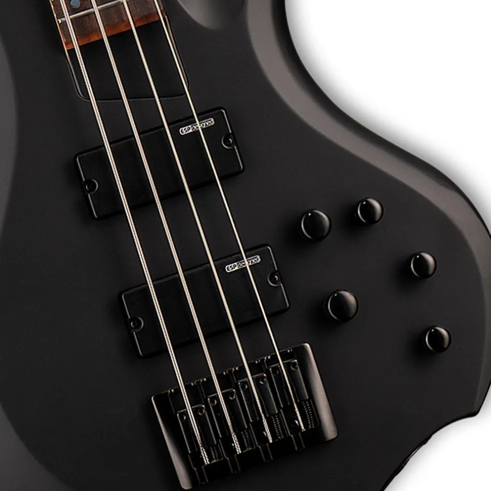 ESP LTD F204 Bass in Black Satin