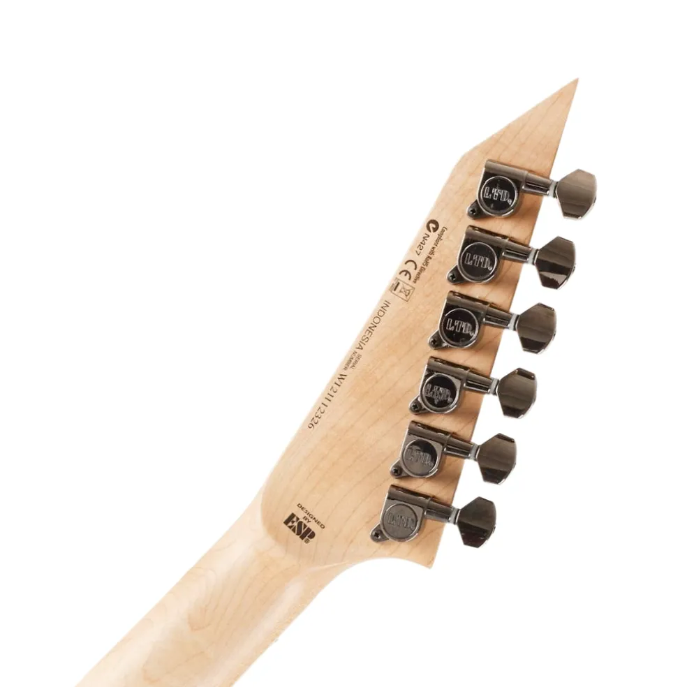 ESP LTD Signature Alexi-200 Electric Guitar - Black