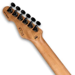 ESP LTD SN-1000 HT Electric Guitar - Fire Blast