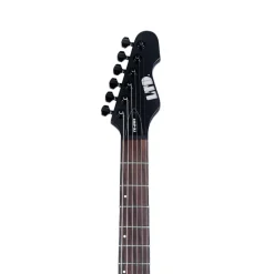 ESP LTD TE-201 Electric Guitar - Gloss Black