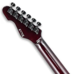 ESP LTD TE-200 Rosewood Board Tobacco Sunburst