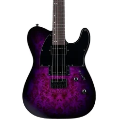 ESP LTD TE-200DX Electric Guitar - Purple Burst