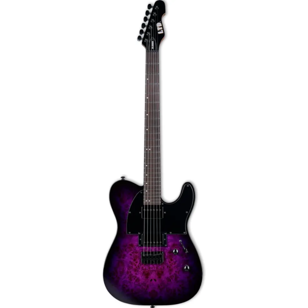 ESP LTD TE-200DX Electric Guitar - Purple Burst