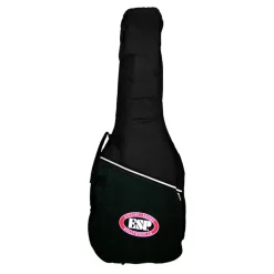 ESP/LTD & Vox Guitarist Essential Guitar Pack