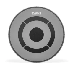 Evans 16" dB One