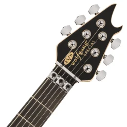 EVH Wolfgang Special Striped Series Black and White